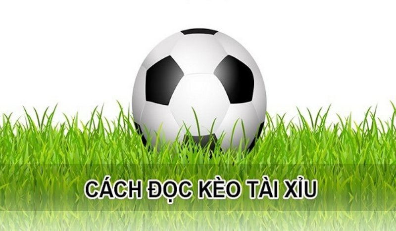 Hướng dẫn cách đọc tài xỉu chính xác nhất